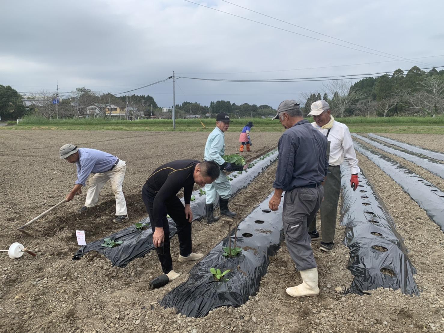 農作物の植付（産業振興部会）.jpg