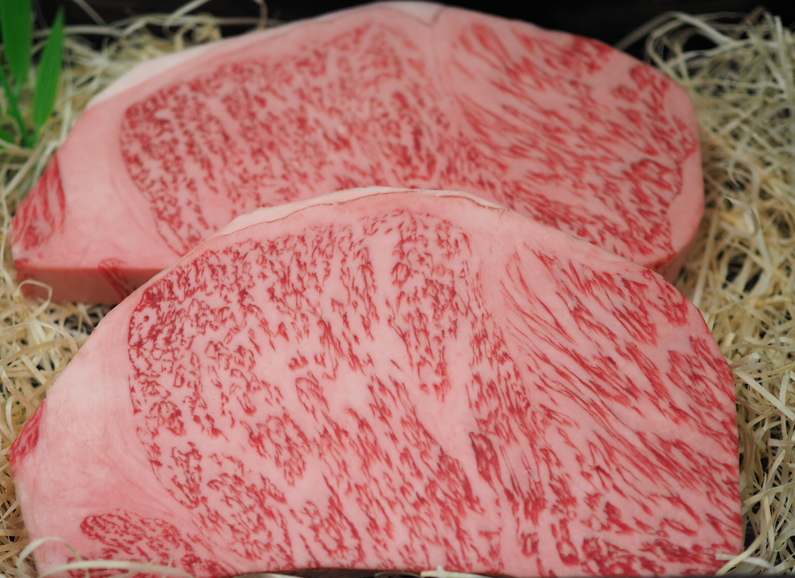 齋藤牛 ギフト10000円.jpg