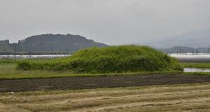 松本２号墳（北から）.jpg