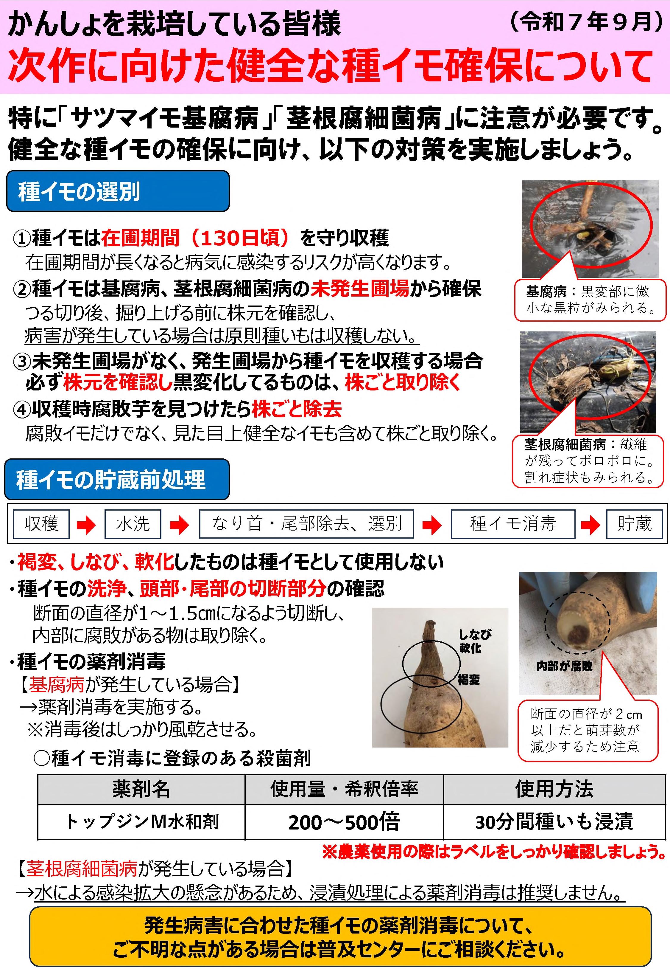 かんしょ病害対策チラシ_1.jpg