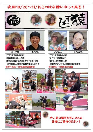 20251028-1119さるまわし公演POP.jpg