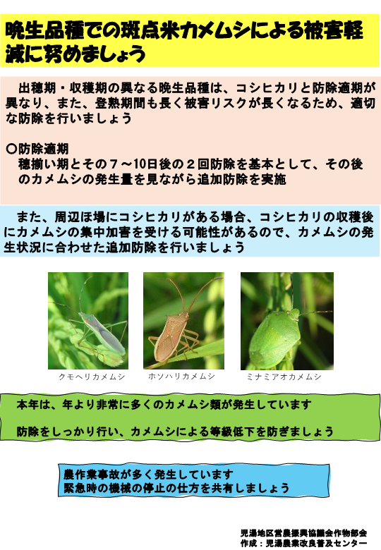 カメムシ注意喚起チラシ２.png