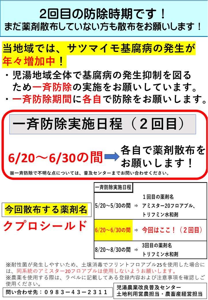 2回目.jpg