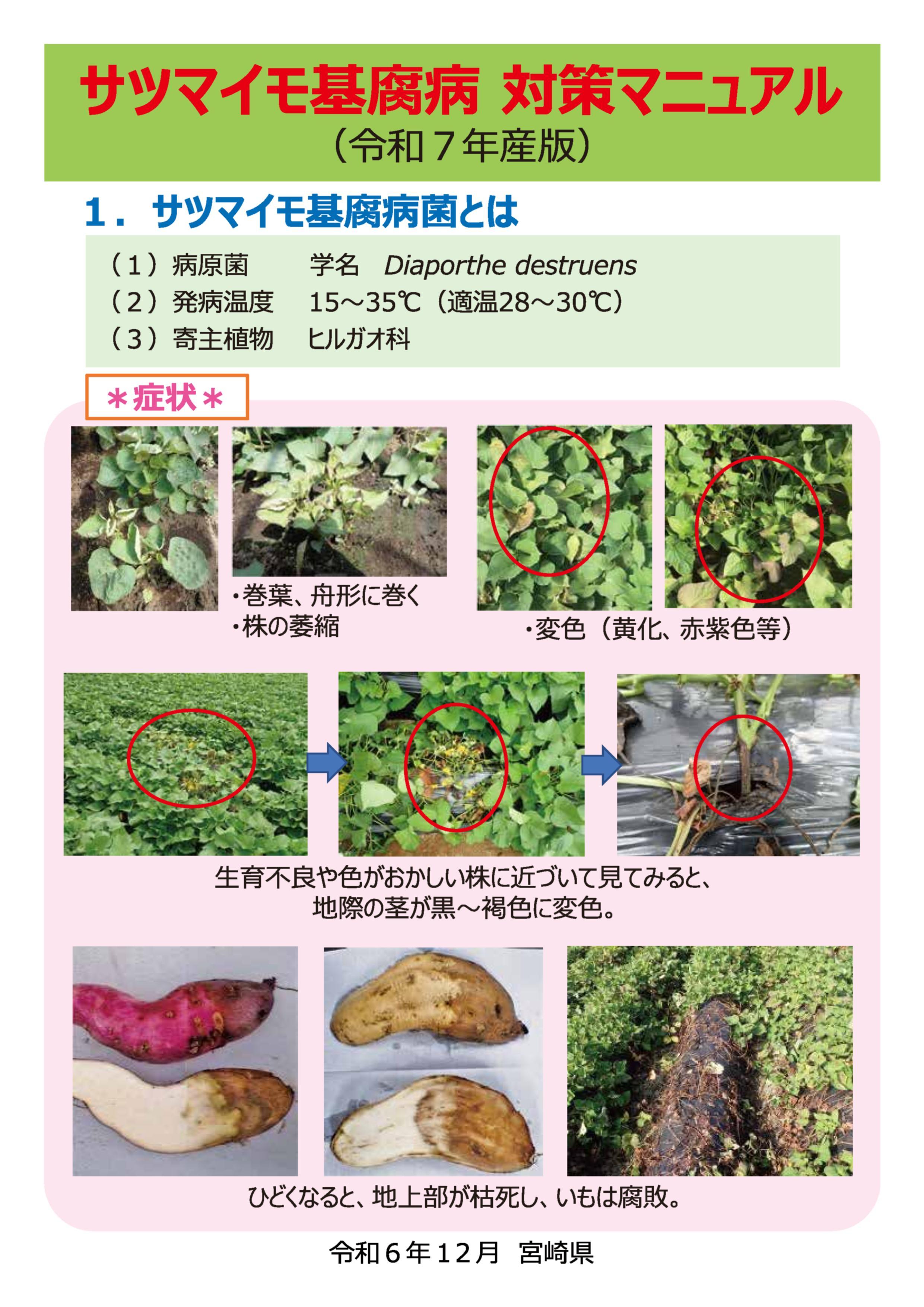 対策マニュアル.jpg